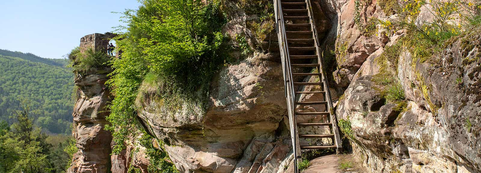 Burgruine Froensburg