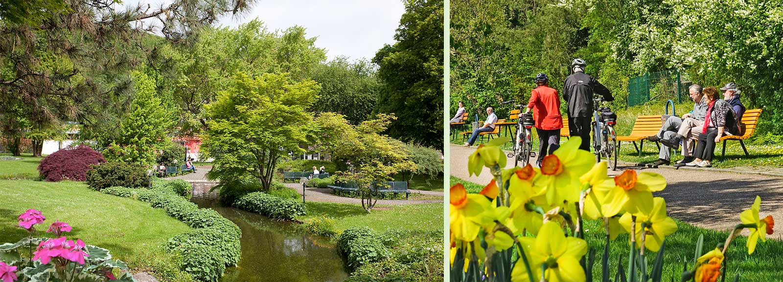 Kurpark Bad Bergzabern