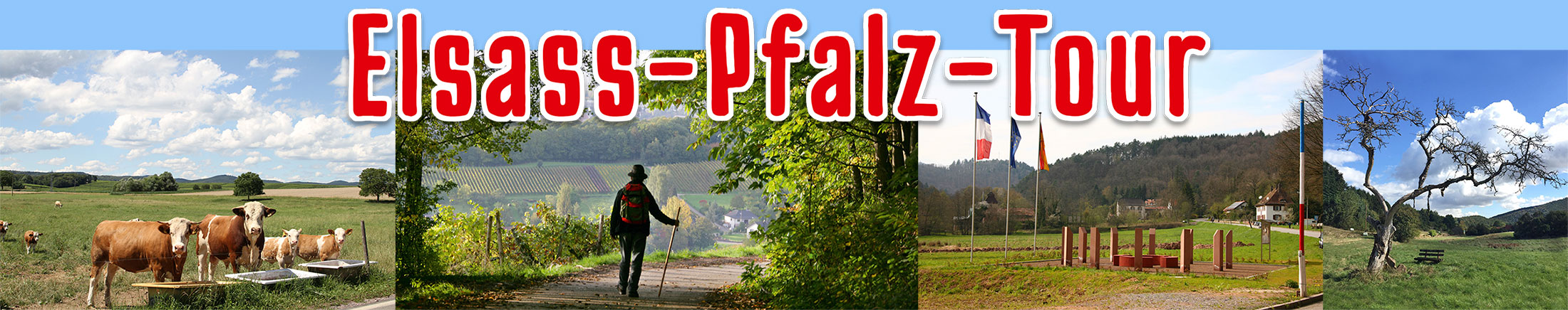 Elsass-Pfalz-Tour